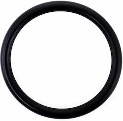 Opel Oil Seal Thermostat Seal Car