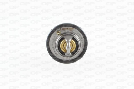 Open Parts Autothermostat Ford Fiesta / Focus 95-03