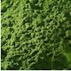 Pigment Green 250gr 3500