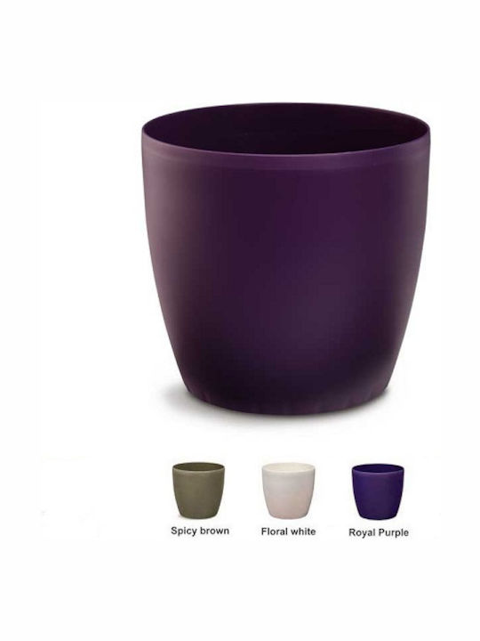 Pot Purple 43x43x39cm