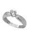 Single Stone from White Gold 14K