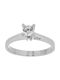 Single Stone from White Gold 14K