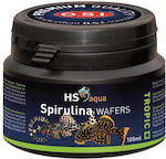 HS Aqua Bottom Fish Food with Spirulina 100ml