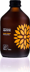 Vigo Kombucha Kombucha 315ml