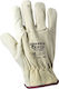 Stenso Gloves for Work Cold-Resistant Beige Leather 1pcs