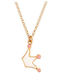 Paraxenies Gold Plated Silver Chain Kids Necklaces Crown PJ00379