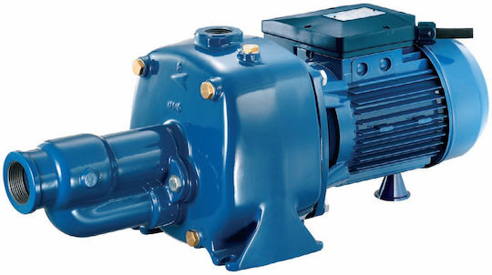Pentax Cab150 Electric Surface Water Pump 1.5hp Single-Phase