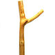 Wooden Art Walking Cane