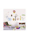 Kids Wall Sticker