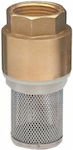 Non-return Valve Brass 2" 46016