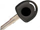 Car Key with Immobilizer