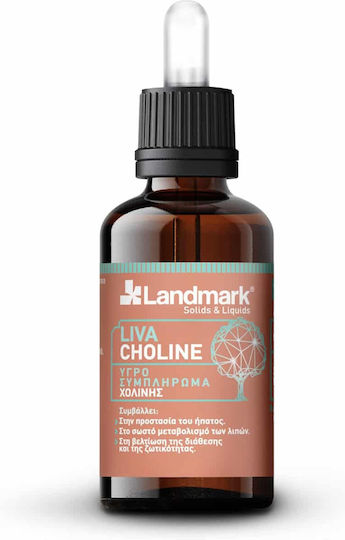Landmark Liva Choline Vitamin Für Kanarische Inseln 100ml