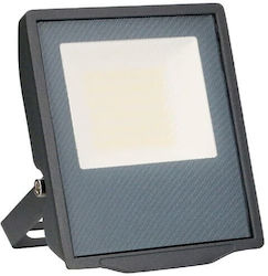 Forlight Pro LED Flutlichter 30W Wasserdicht Forlight Pro LED Flutlichter 30W Wasserdicht