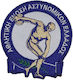 KENTITIKI PTOLEMAIDAS AS0063 Σήμα Αστυνομίας