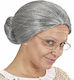 Carnival Wig Straight Gray