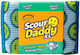 Scrub Daddy Kitchen Sponge Daddy