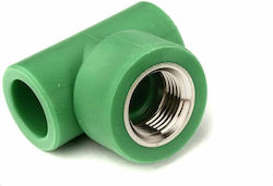 Pipe Tee Polypropylene Female 02478