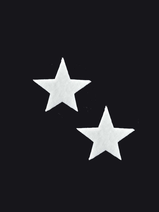 Plastic Christmas Decorative Desktop Star 17cm White
