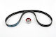 Open Parts Set of Car Engine Belt for Fiat Grande Punto TBK5002.01