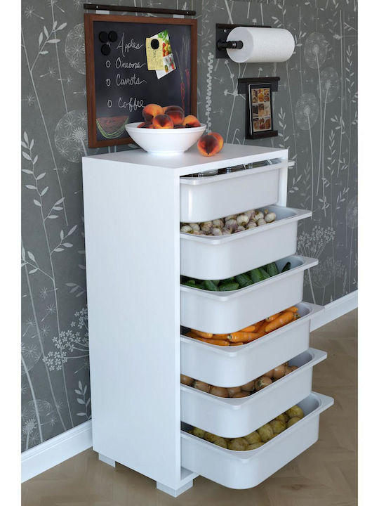 Storage Drawers from Plastic and Wood with 6 Drawers M88xW45.5xH30cm