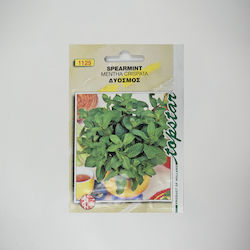 Pieterpikzonen Seeds Spearmint