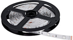 Horwood LED Strip 12V with Warm White Light 1m