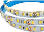 Wellmax Bandă LED Alimentare 12V cu Lumină Alb Rece pe Metru SMD2835