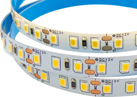 Wellmax LED Strip 12V Cold White Light 1m Type SMD2835