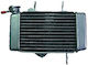 Shark Racing Motorcycle Engine Radiator 66801004