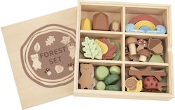 Tooky Toys Forest Pentru 3+ Ani