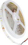GloboStar Wasserdicht LED Streifen Versorgung 24V mit Warmes Weiß Licht pro Meter SMD2835 70302