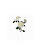 Zaros Artificial Decorative Branch Chrysanthemum White 65cm 1pcs