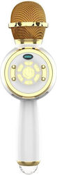 Kabelloses Karaoke-Mikrofon DS810 Gold