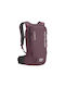 Ortovox Free Rider Ορειβατικό Σακίδιο 20lt Χρυσό Daypack