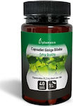 Full Health Ginkgo Biloba 40 κάψουλες