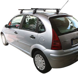 Hermes Kit pentru Citroen C3 (Set cu picioare)