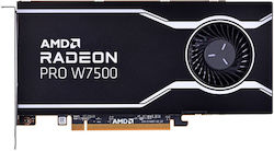AMD Radeon Pro W7500 8GB GDDR6 Κάρτα Γραφικών