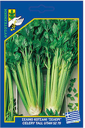 Γενική Φυτοτεχνική Αθηνών Seeds Celery