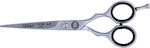 Eurostil Loyal Hair Cutting Trimming Scissor 6"