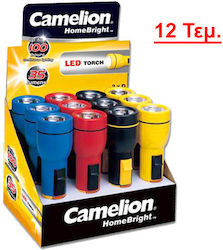Camelion FL1L2DD12 Taschenlampe LED 12Stück