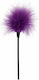 La Lolita Amsterdam Feather for Tickling in Purple Color