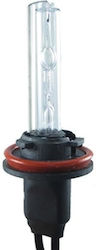 Xenon H8 bulb