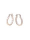 Earrings Hoops