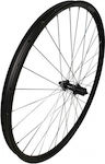 Rear Bicycle Wheel 29"