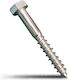 Goizper Coach Screw Hexagon Galvanized with Length 10mm 100pcs