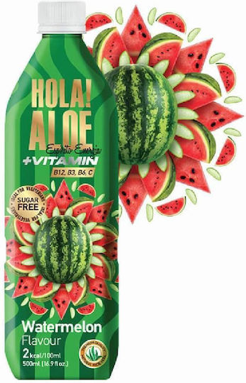 aloe vera plant habitat Large Aloe Vera Plants For Sale| Medicinal Aloe| Aloe barbadensis
