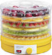 Concept Lebensmittel-Dehydrator mit 6 Regalen