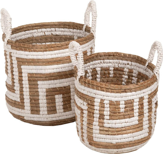 Freebox Wicker