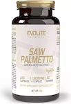 Evolite Saw Palmetto 450mg Συμπλήρωμα για την Υγεία του Προστάτη 90 φυτικές κάψουλες