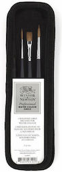 Winsor & Newton Paint Brush